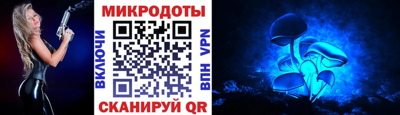 продажа наркотиков  Ленинск  Псилоцибиновые грибы Psilocybe 